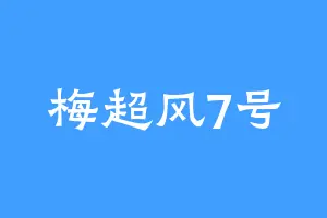 梅超风7号
