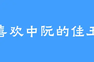 喜欢中阮的佳玉