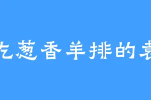爱吃葱香羊排的袁熙