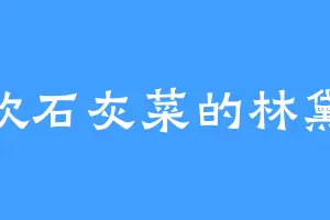 喜欢石灰菜的林黛玉