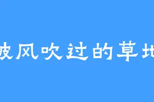 被风吹过的草地