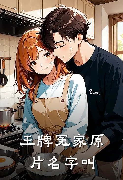 王牌冤家原片名字叫