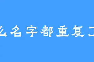 怎么名字都重复了啊