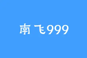 南飞999