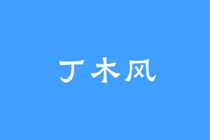 丁木风