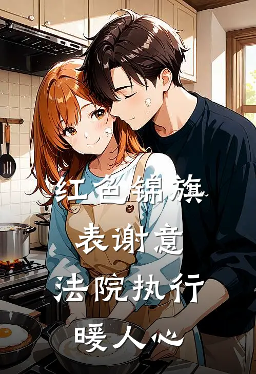 红色锦旗表谢意,法院执行暖人心