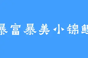 暴富暴美小锦鲤