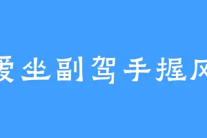 爱坐副驾手握风