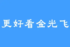 不更好看金光飞航