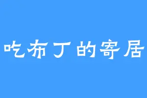 爱吃布丁的寄居蟹