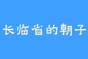 长临省的朝子