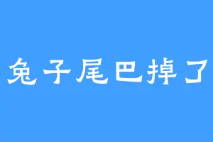 兔子尾巴掉了