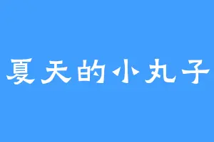 夏天的小丸子