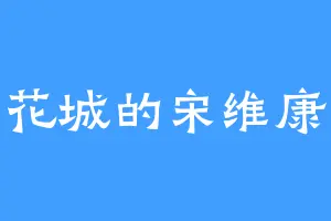 花城的宋维康