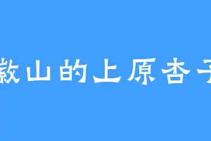 徽山的上原杏子