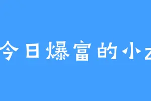 今日爆富的小z