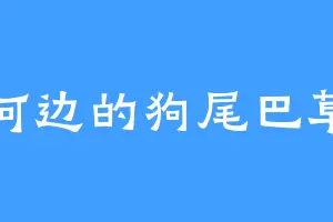河边的狗尾巴草