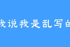 我说我是乱写的