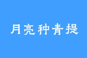 月亮种青提