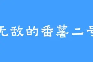无敌的番薯二号