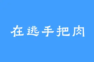 在逃手把肉