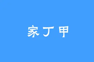 家丁甲