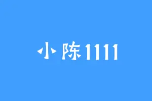小陈1111