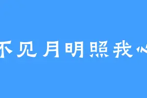 不见月明照我心