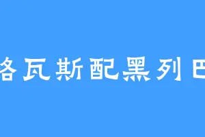 格瓦斯配黑列巴