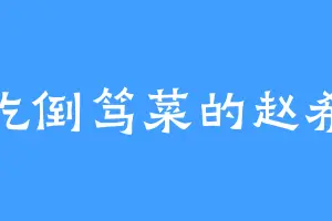 爱吃倒笃菜的赵希翼