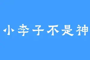 小李子不是神