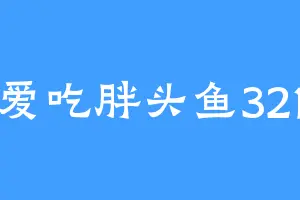 爱吃胖头鱼321