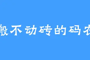 搬不动砖的码农