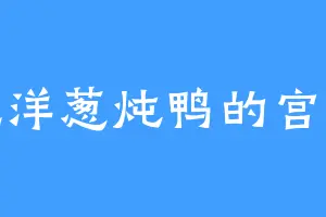 爱吃洋葱炖鸭的宫小龙