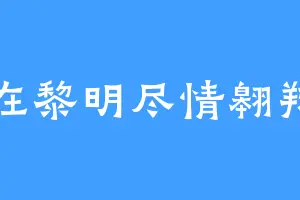 在黎明尽情翱翔