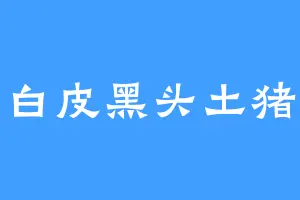白皮黑头土猪