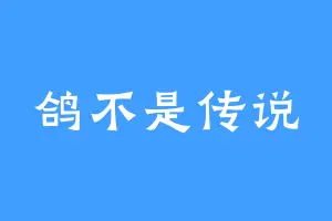 鸽不是传说