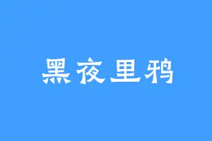 黑夜里鸦
