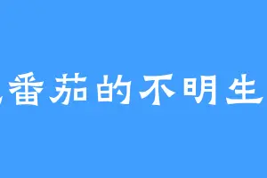 吃番茄的不明生物