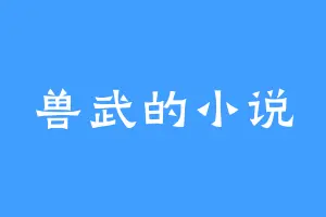 兽武的小说