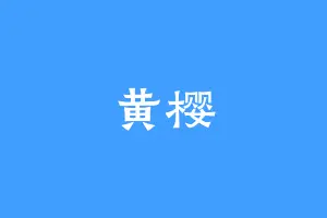 黄樱