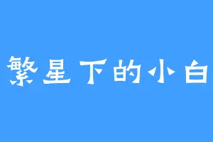 繁星下的小白