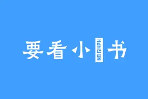 要看小譅书