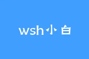 wsh小白