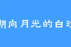 朝向月光的白玫