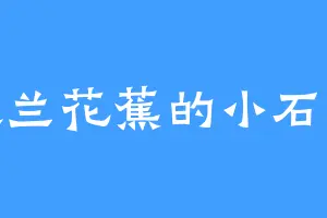 喜欢兰花蕉的小石头精