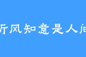 听风知意是人间