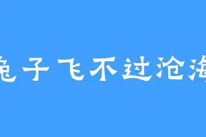 兔子飞不过沧海