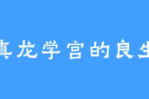 真龙学宫的良生