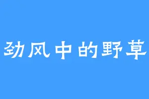 劲风中的野草
